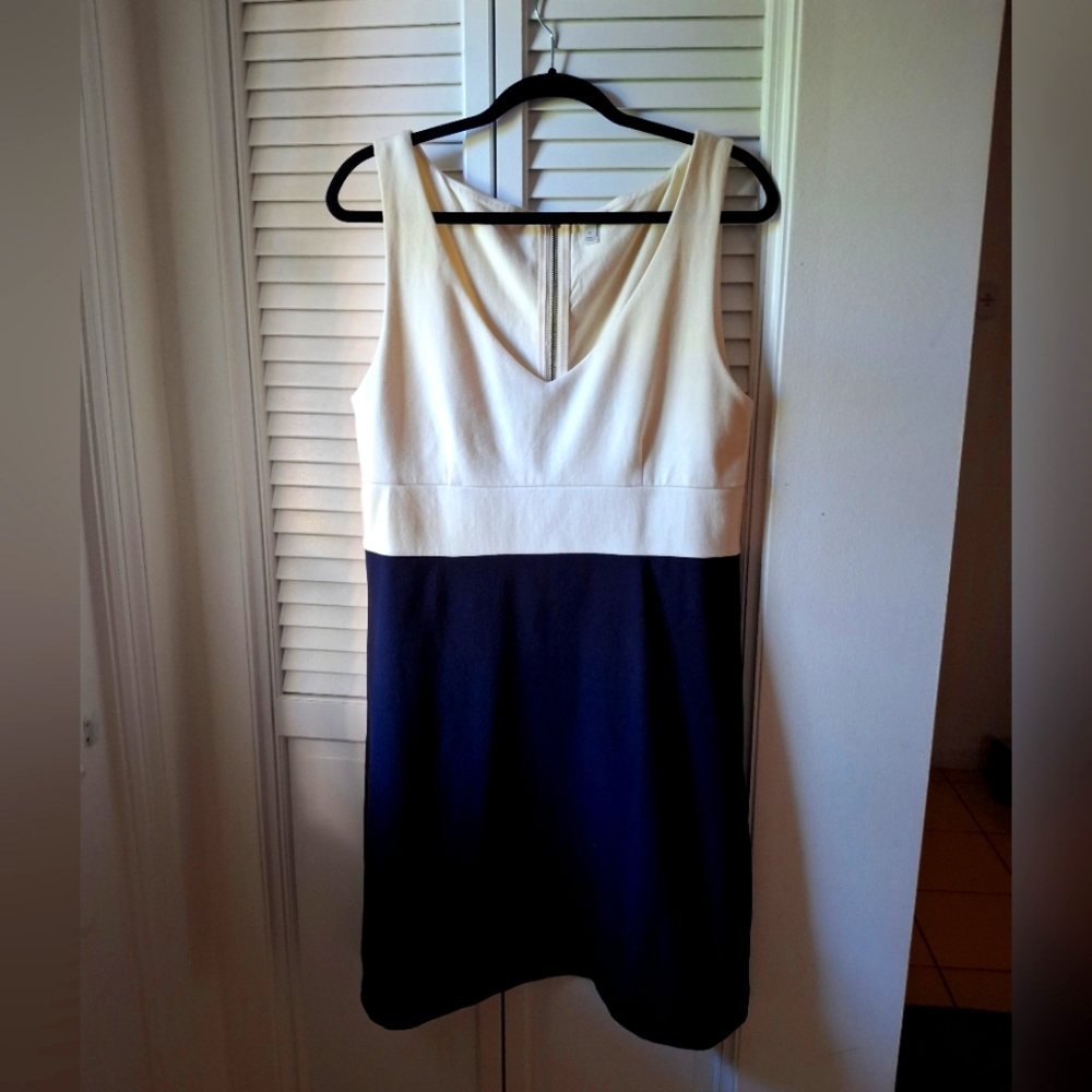 J CREW Elegant Two-Tone Sleeveless Dress
